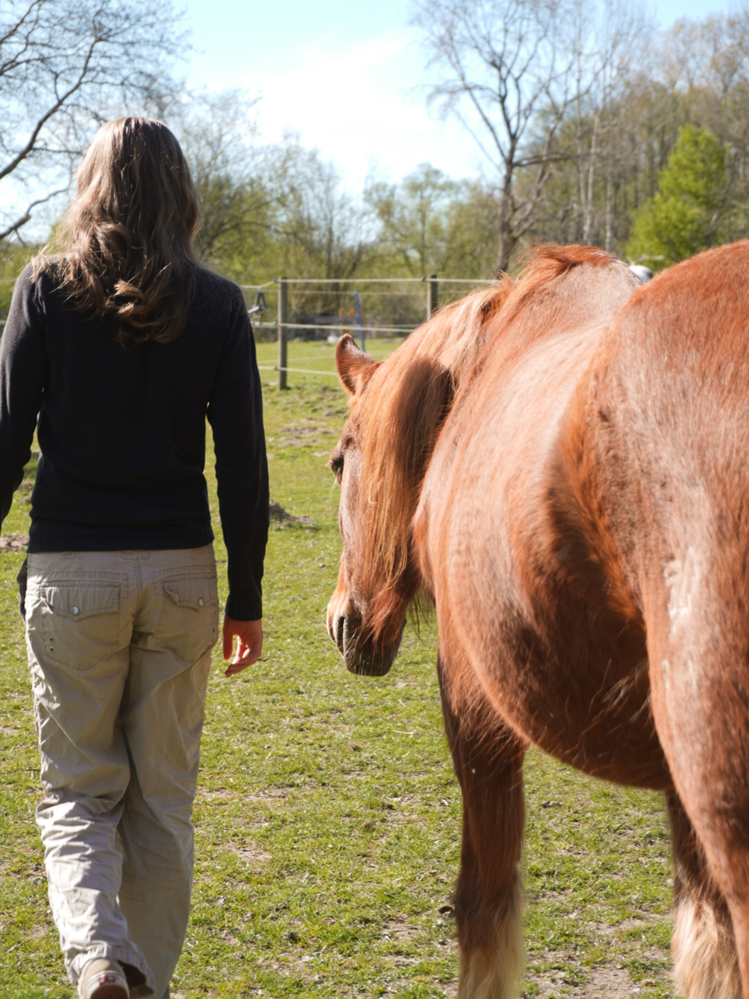 Greta und Pferd gehen gemeinsam