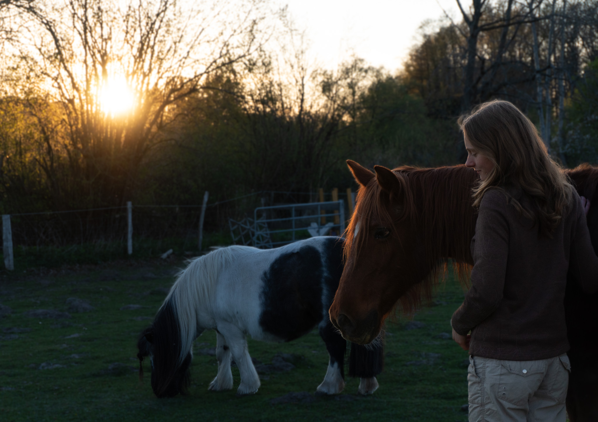 Greta mit Momo und Lulu im Abendlicht